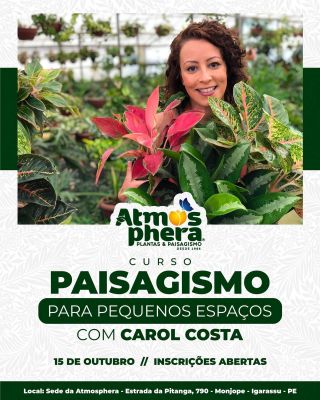 Atmosphera Plantas Paisagismo