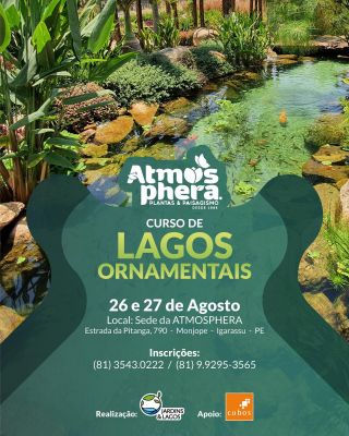 Atmosphera Plantas Paisagismo